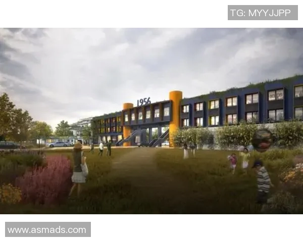 杭州足球队新篇章：从传统到现代的华丽转身与未来展望